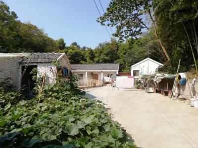 马曙光生活-秋天红枫正浓，一年丰收在望【图4】