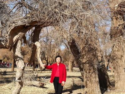 马培童生活-带你走近胡杨林，就会发现胡杨林犹如一座天然艺术宫殿，它盘根错节，铁骨的躯体，千姿【图3】