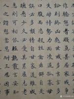 艺术家胡宝成日记:刚写好的小楷《朱子家训》共524字，尺寸180*48㎝喜欢的【图3】