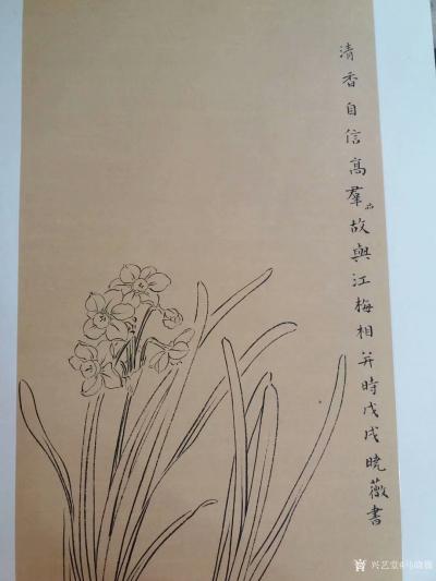 马晓薇日记-国画花鸟画水仙《清香自信高群品，故与江梅相并时》，新作，请欣赏【图2】