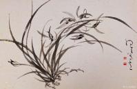 艺术家周牧天日记:周牧天国画兰花，20幅【图1】