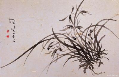 周牧天日记-周牧天国画兰花，20幅【图12】