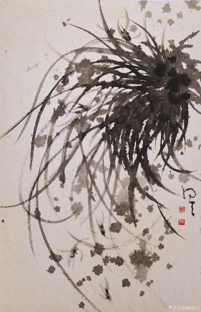 周牧天日记-周牧天国画兰花，20幅【图15】