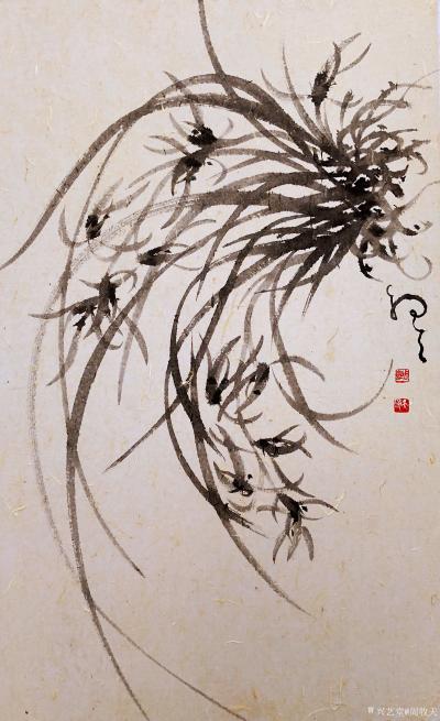 周牧天日记-周牧天国画兰花，20幅【图18】