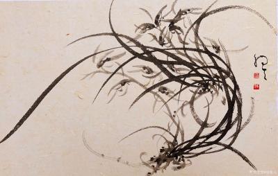 周牧天日记-周牧天国画兰花，20幅【图19】