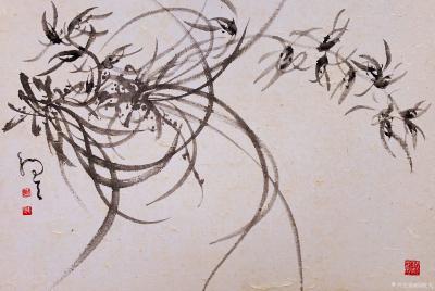 周牧天日记-周牧天国画兰花，20幅【图21】