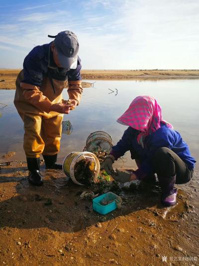 赵国毅日记-创作速写作品《织渔网的妇女》2幅，《威海渔工》3幅，山东威海渔区石岛渔场写生。请【图6】