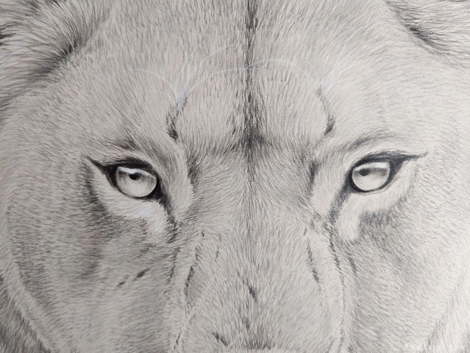 于永强国画作品《狮子》【图1】