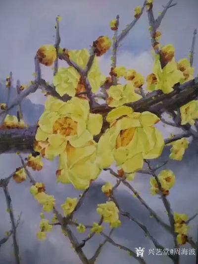 周海波日记-分享一组油画《腊梅》，希望大家能够喜欢。【图1】
