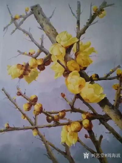 周海波日记-分享一组油画《腊梅》，希望大家能够喜欢。【图2】