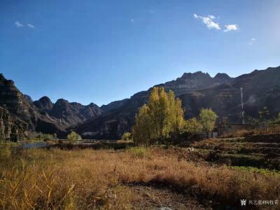 杨牧青日记-感恩摄影之美一一面南而望，基地对面是大金佛站以慧眼相视，后面是红尊渔塘农家，左【图5】