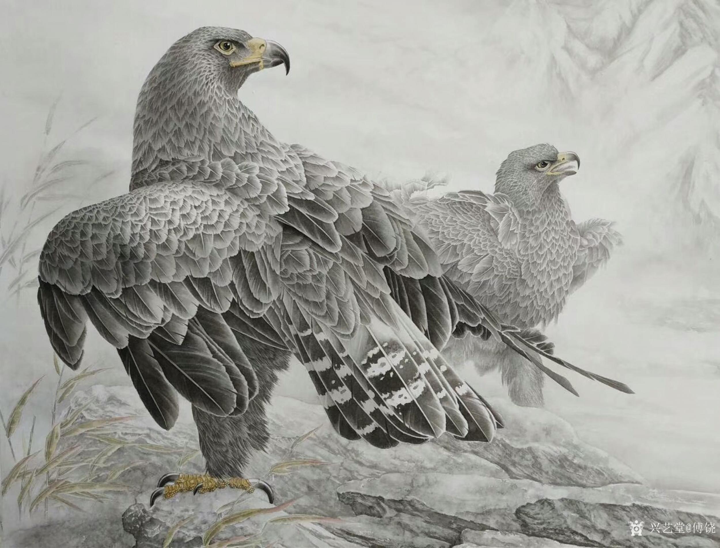 傅饶日志-傅饶原创国画动物画《金雕》,戊戍年新作,尺寸六尺整幅98*1