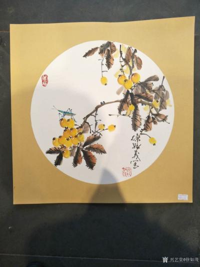 徐如茂日记-国画写意花鸟斗方作品《金玉满堂》，《梅花牡丹争艳》，《枇杷熟了》，《竹叶报三多》【图4】