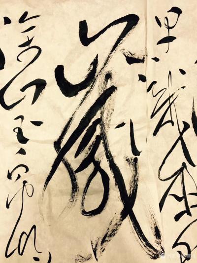 周鹏飞日记-《對鵬飛先生毛體書法的一孔之見》幾十年來由於對偉大領袖毛澤東的崇拜，加之毛澤東書【图5】