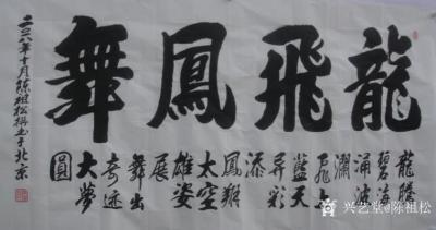 陈祖松日记-龙腾碧海涌波澜，
飞上蓝天异彩添。
凤翔太空雄姿展，
舞出奇迹大梦圆。【图1】