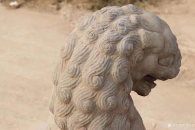 明清古艺日记-青石雕刻《宋元雄狮》，高65厘米座直径47厘米，雄狮雕像造型威猛霸气，肌肉发达，【图6】