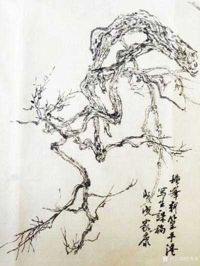 徐家康日记-《江西横峰写生记》横峰～新篁真是好山好水，植物形态丰富，有千年板栗，有千年雌雄红【图1】