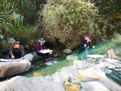 徐家康日记-《江西横峰写生记》横峰～新篁真是好山好水，植物形态丰富，有千年板栗，有千年雌雄红【图5】