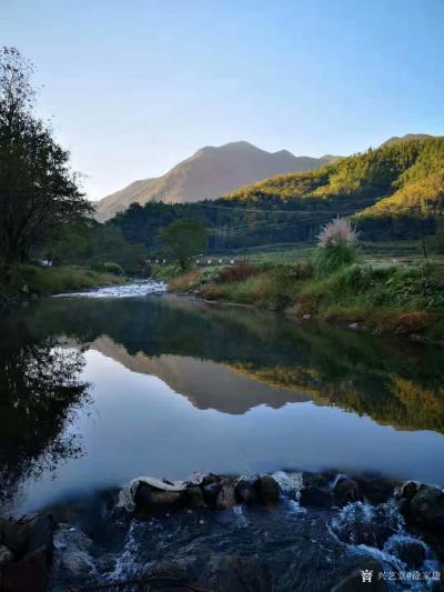 徐家康日记-《江西横峰写生记》横峰～新篁真是好山好水，植物形态丰富，有千年板栗，有千年雌雄红【图6】