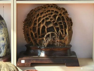 冯增木收藏-我对奇石的赏玩和收藏已有二十多年的历史了，至今兴趣不减，且年年继续投资。此爱好可【图2】