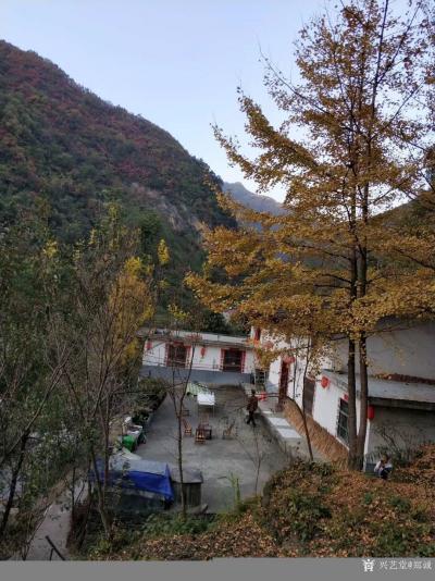 郑诚日记-《金安盐丝古道采风写生随记》；被邀请参加金秋时节汉宾红叶节采风写生进行中……金安【图3】