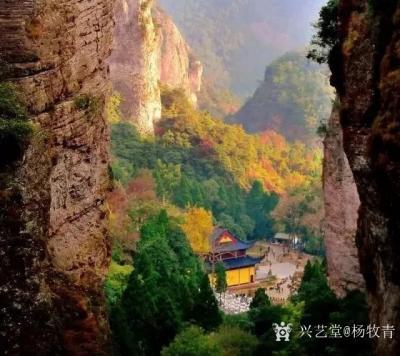 杨牧青日记-断肠崖上叹绝情
绝情谷底哭断肠【图1】