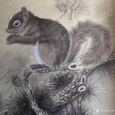 汪林日记-国画工笔动物画新作《松鼠》，尺寸50x50cm，第二幅工笔动物画《小猫戏蜻蜓》，【图1】