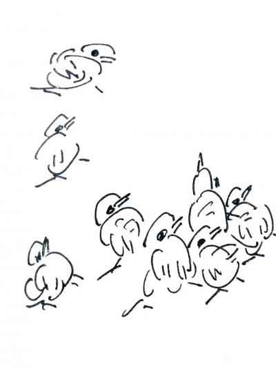 龚光万日记-《小鸡小鸡》，二十余年前，政治学习之余涂鸦作品，今翻读实感兴奋！与朋友们共赏，纸【图2】