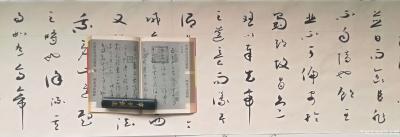 许永钢日记-草书书法作品欣赏，感悟分享：《怀素》。
很多人都号称学习怀素，仿佛弄的乱七八糟【图1】