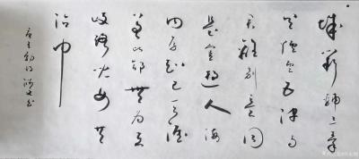 许永钢日记-草书书法作品欣赏，感悟分享：《怀素》。
很多人都号称学习怀素，仿佛弄的乱七八糟【图3】