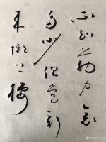 艺术家许永钢日记:草书书法作品欣赏，感悟分享：《怀素》。
很多人都号称学习怀【图3】