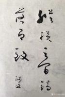 艺术家许永钢日记:草书书法作品欣赏，感悟分享：《怀素》。
很多人都号称学习怀【图4】