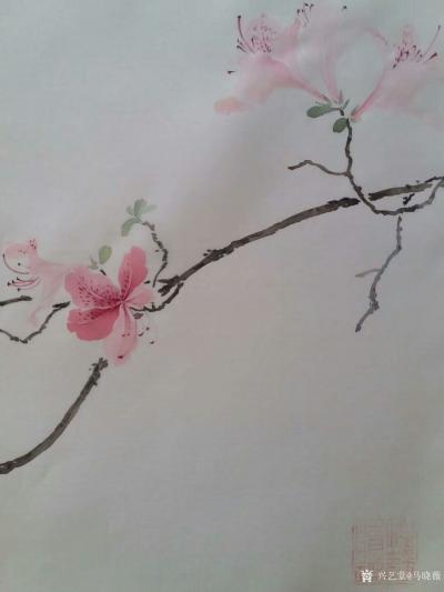 马晓薇日记-国画花鸟画静物写生作品《杜鹃花》，附楷书题款：戊戍年春月吾携幼子家人登西泰山赏杜【图4】