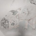 于永强日志-与大家交流，也有需要加微信，13043201286     【图2】