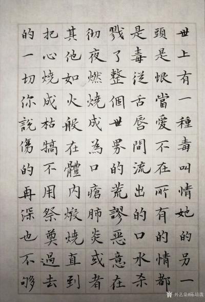 陈培泼日记-诗歌新作《没有比情更毒的伤》，附楷书书法作品记之，作者：陈培泼

世上有一种【图1】