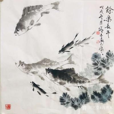 冯增木日记-国画鱼作品斗方《四海神游》《馀乐长年》《悠然自得》《但愿人长久》等6幅新作一组。【图1】
