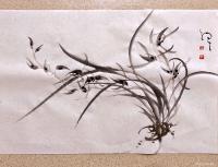 艺术家周牧天日记:周牧天国画兰花，50幅，最后一幅书竟是发帖自带，啧啧【图4】