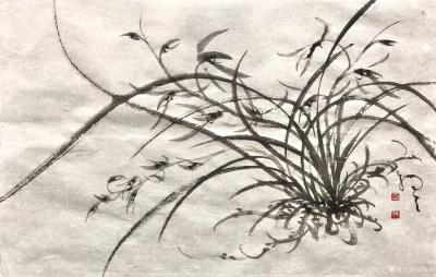 周牧天日记-周牧天国画兰花，50幅，最后一幅书竟是发帖自带，啧啧【图23】