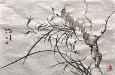 周牧天日记-周牧天国画兰花，50幅，最后一幅书竟是发帖自带，啧啧【图35】