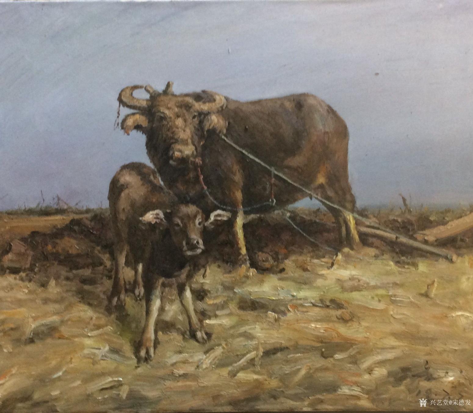 宋德发油画作品《深情》