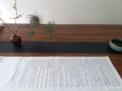 马晓薇日记-为十米长卷《百花图卷》题词——摘录百花诗词二十余首，收纳近一年素材绘制而成。
【图1】