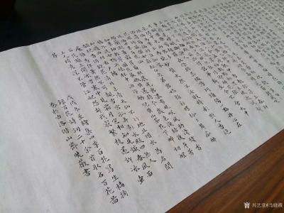 马晓薇日记-为十米长卷《百花图卷》题词——摘录百花诗词二十余首，收纳近一年素材绘制而成。
【图2】