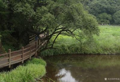 李伟强生活-《游神农架而感“行”和“知”》
  我由蜀转游鄂，是冲着两个诱因，湖北神农架有【图2】