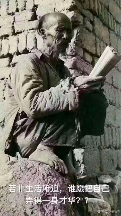 杨牧青日记-若非生活所迫
谁愿把自己弄得一身才华【图1】