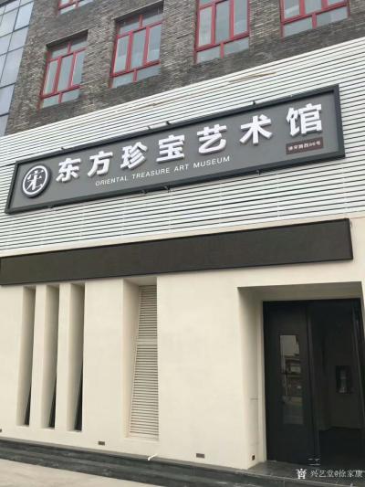徐家康生活-«巴勒斯坦驻华大使到东方珍宝艺术馆参观徐家康山水画展»
  千秋笔墨——徐家康【图6】