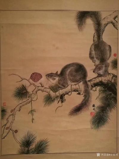 王征明日记-国画松鼠，尺寸四尺斗方68x68里米，朋友们都见多了我画的水意画，国画比较少作，【图1】