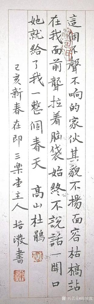 陈培泼日记-诗歌新作《高山杜鹃》作者-陈培泼

这个不声不响的家伙
其貌不扬
面容枯【图2】