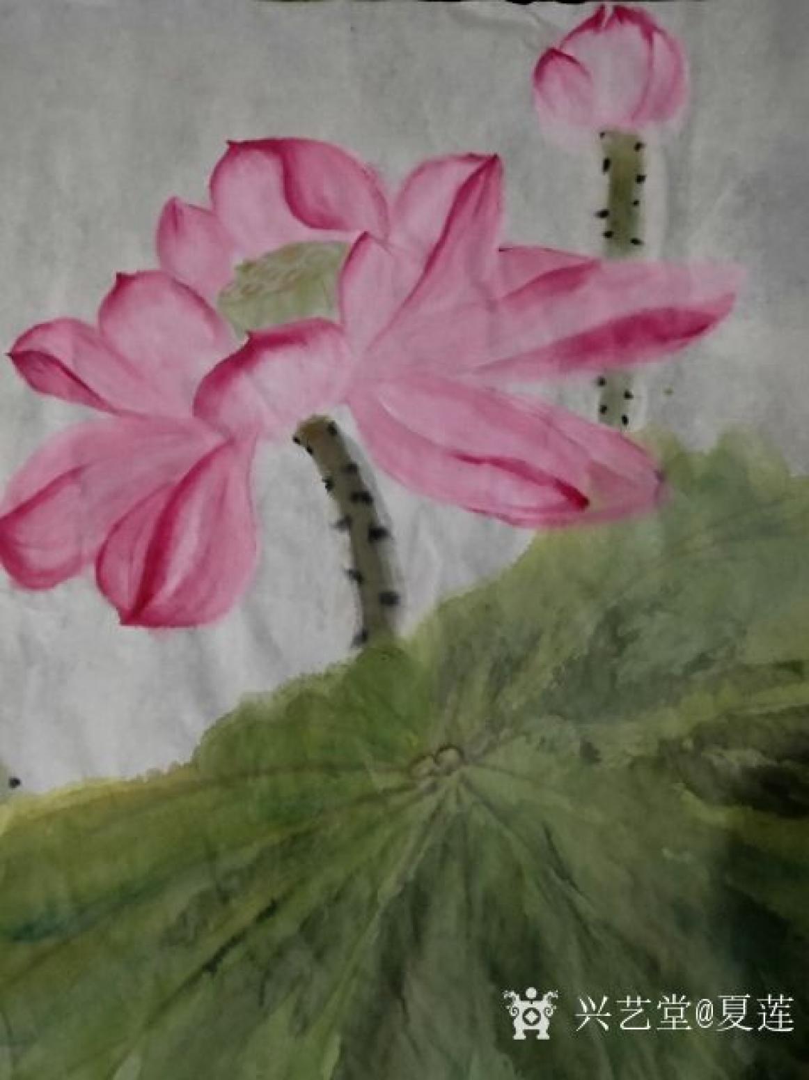 夏莲国画作品《荷气生财》【图0】