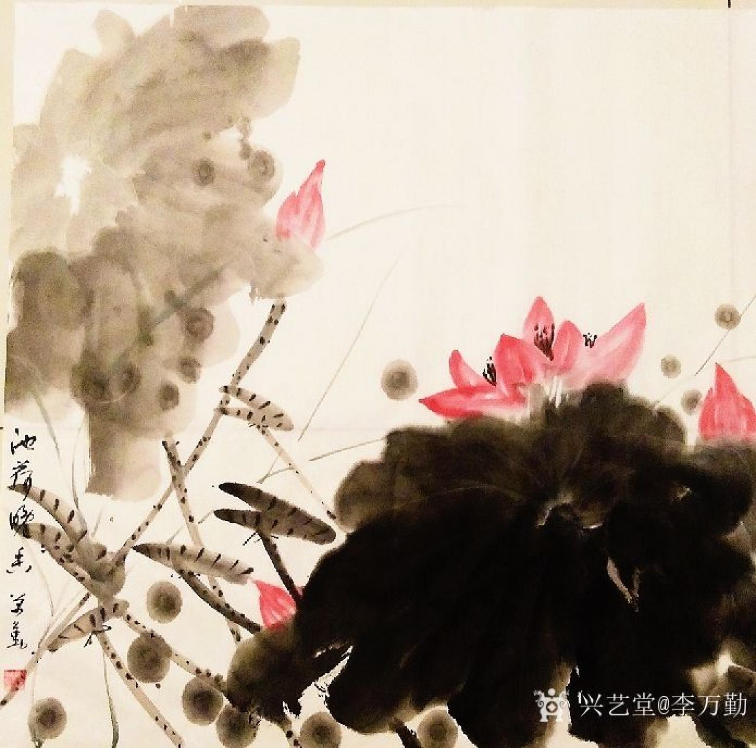 李万勤国画作品《四尺斗方荷花》【图1】