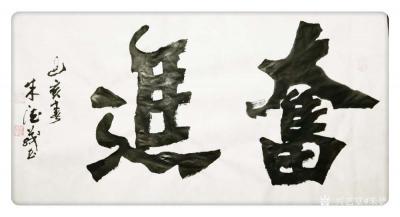 朱德茂日记-“逢九必变，逢猪必动”，是己亥猪年的基本运势。在新的一年里，要从善如流的“变”，【图2】